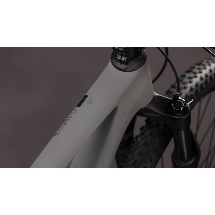 CUBE REACTION C:62 ONE Hardtail Mountainbike 29 Zoll oldgrey/schwarz 2026